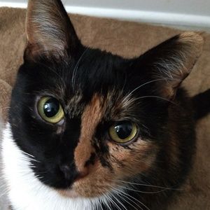 Meet your Posher, Lori